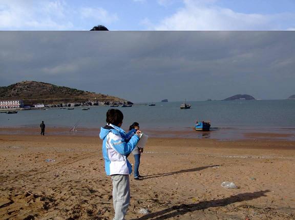 面朝大海似花开