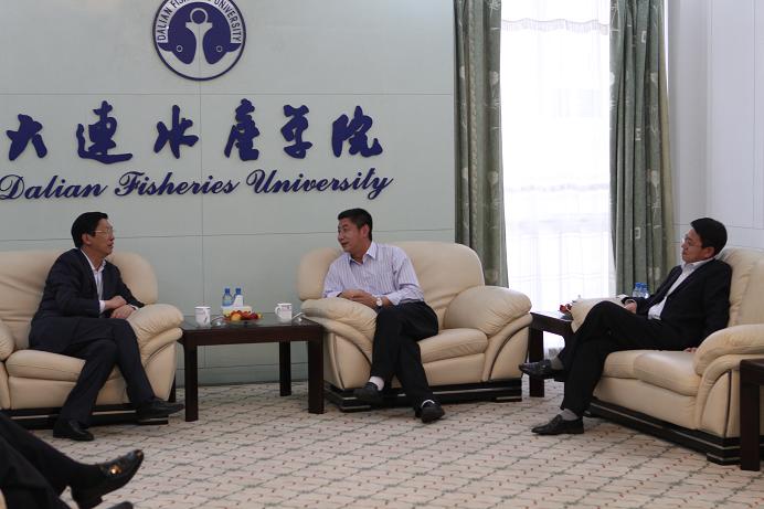 翁司长与刘局长、姚董事长亲切会谈